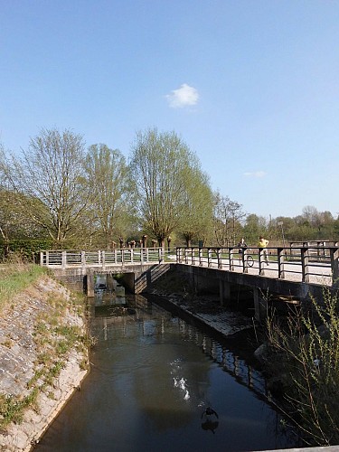 Le pont au-dessus de la Pede