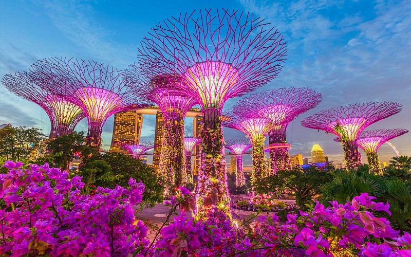 Combo (Save 7%): Universal Studios Singapore + Gardens by the Bay Tickets