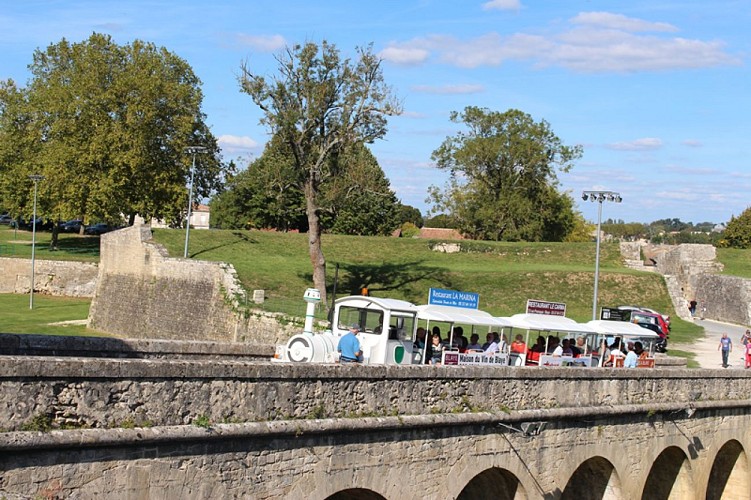 visite-degustation-chateau-marquis-de-vauban-blaye-cotes-de-bordeaux---train--800x600