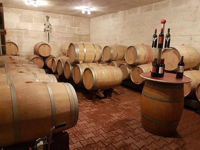 FB_IMG_1581510697195