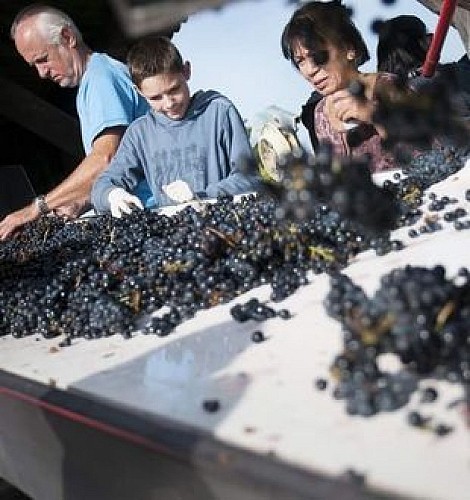 BWT - Photo vignette - Côtes de Bonde