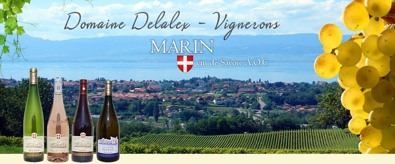 Domaine Delalex - la Grappe Dorée