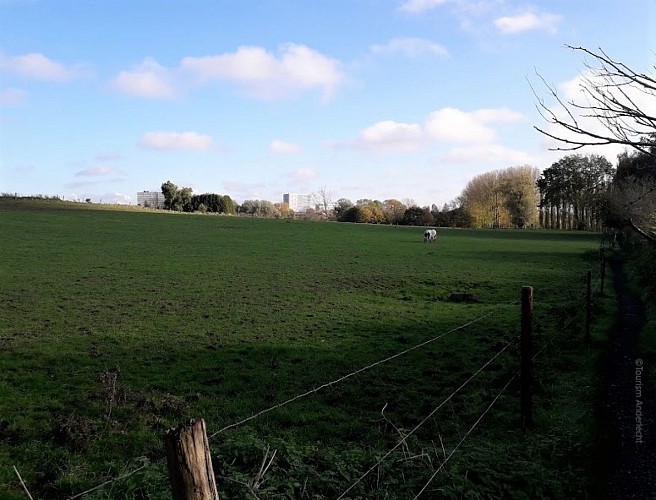 Het Klein Goedveld