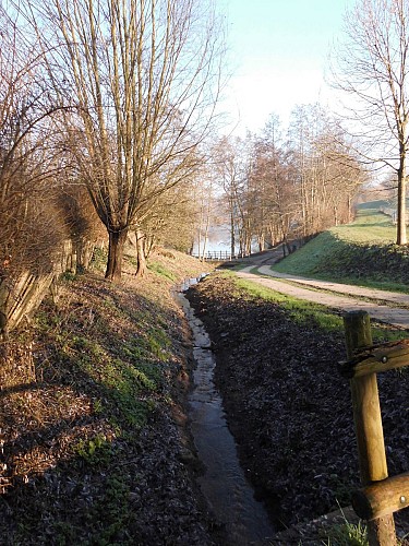 Le ruisseau de la rue des Poulets