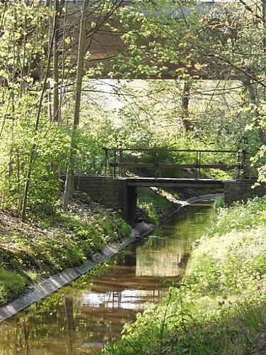 De brug onder de Ring