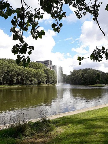 De vijver van het park