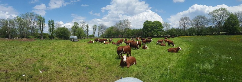 Visite de la ferme du Jarry