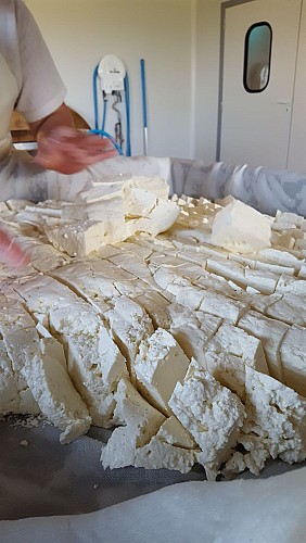 Visite de la ferme du Jarry