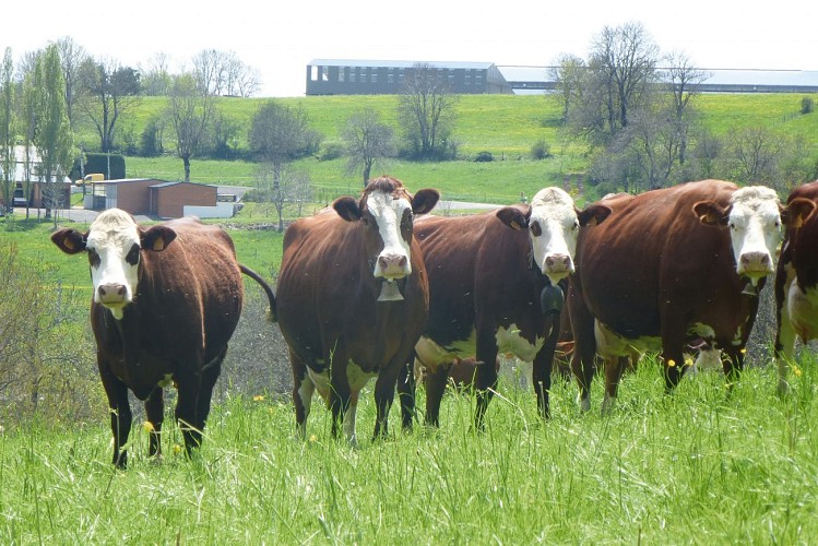 Visite de la ferme du Jarry