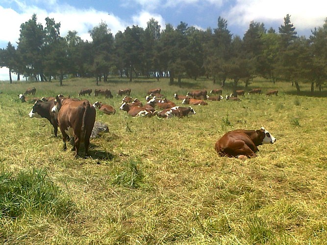 Visite de la ferme du Jarry