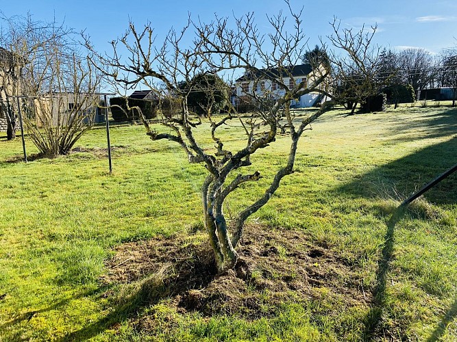 Les Merisiers_meublé Saint-Vallier