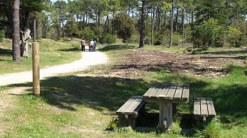Aire de pique-nique de la Bergère