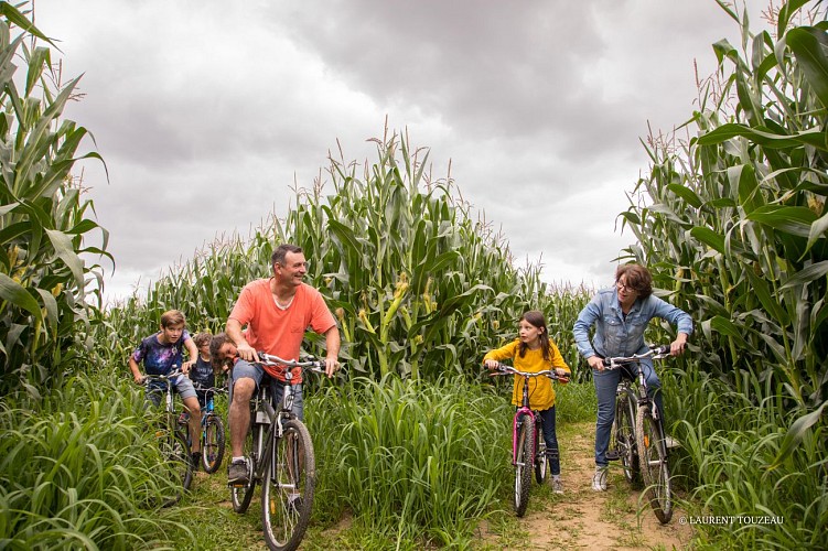Location de vélos labyrinthe Vendée Vallée