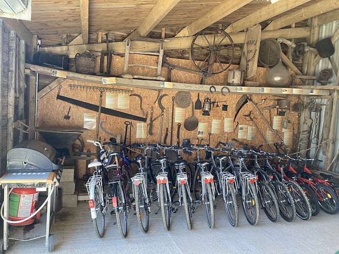 Location de vélos labyrinthe Vendée Vallée