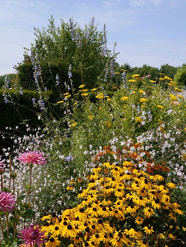 PARC DU MANOIR DE CLAIREFONTAINE