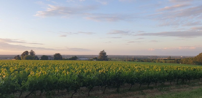 Gîte Le Cormier Lodge Cosy