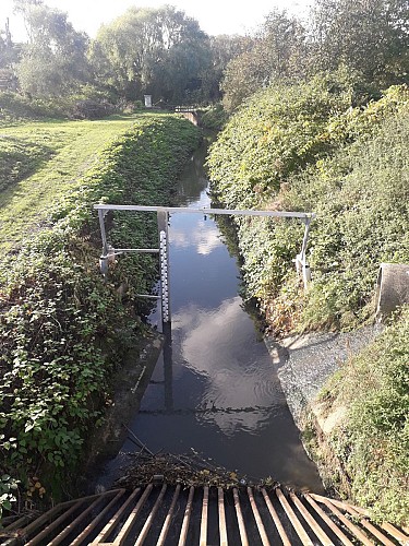 Le Zuenbeek avant son passage dans son siphon