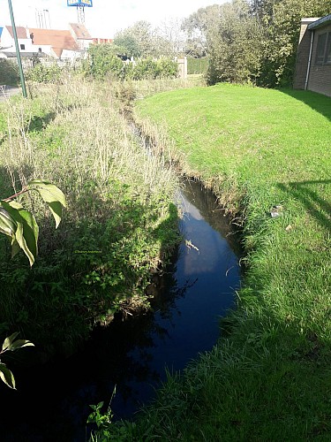 Le long de la rue du Zuen