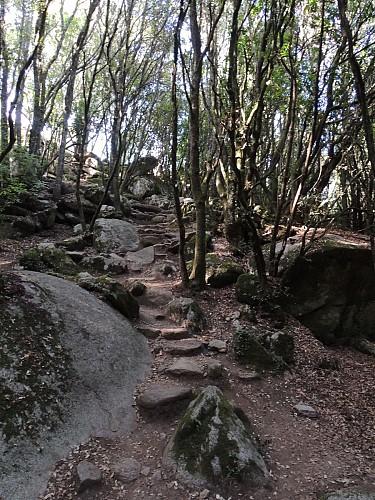 Site Archéologique de Cuccuruzzu / Capula