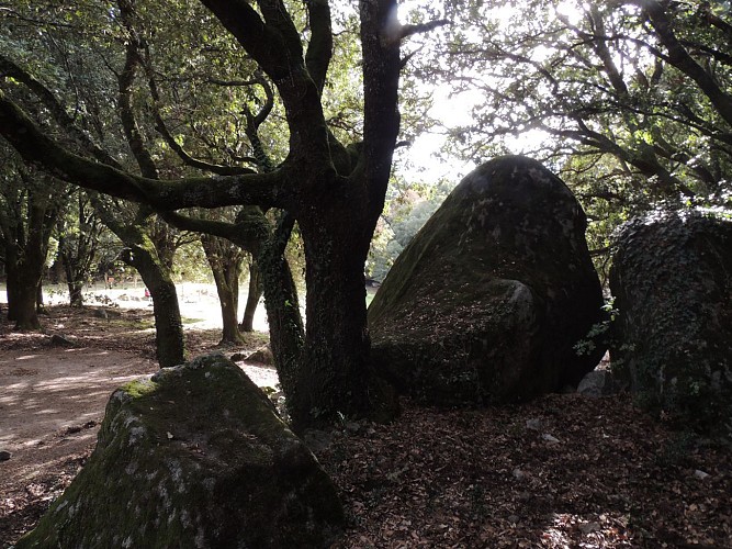 Site Archéologique de Cuccuruzzu / Capula
