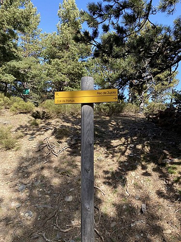 Vers le "Coll de Pertus"