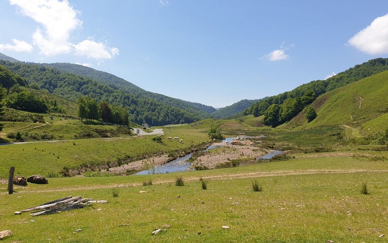 20210610_122703 1440x900