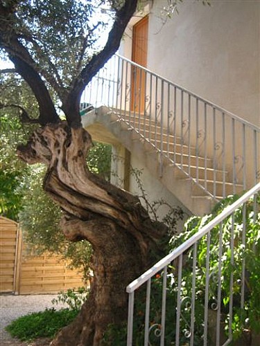 Le Mas des Muriers - Le Caume