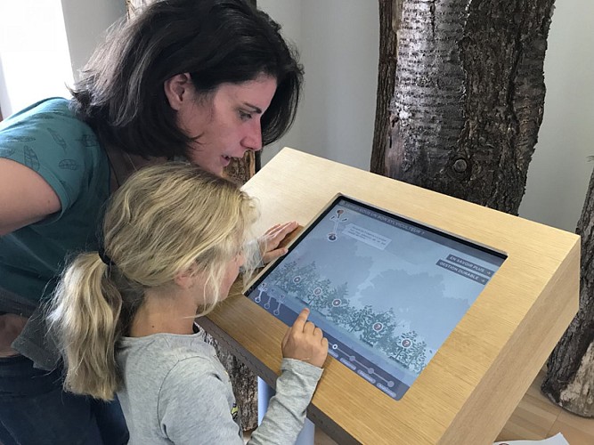 Château de Senonches