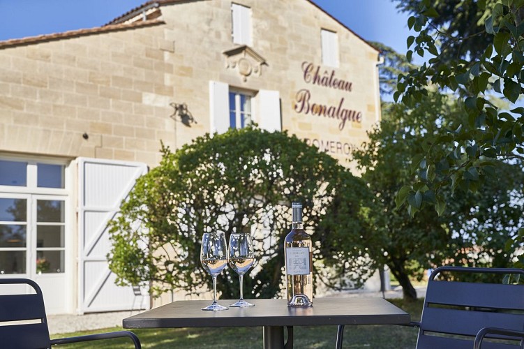 chateau bonalgue extérieurz