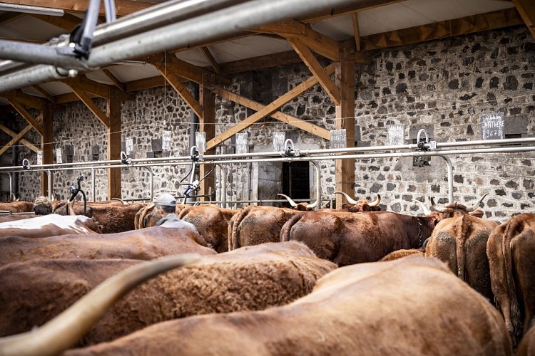 GAEC Galvaing Père et Fils