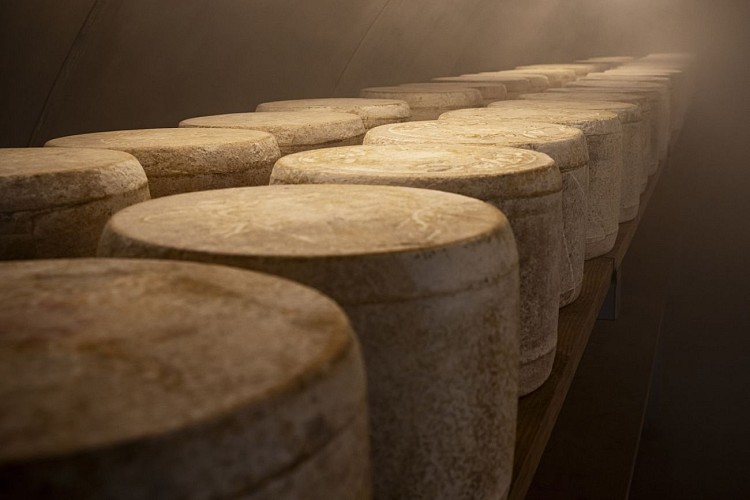 GAEC Galvaing Père et Fils