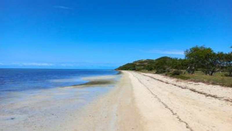 Balade à cheval - La Foa - 2 heures - Ouano - Vaqueros Rando
