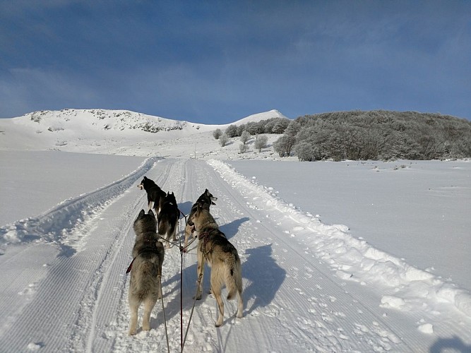 Nordicateam Puy Mary