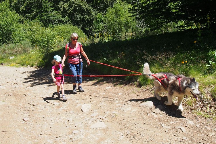 Nordicateam Puy Mary