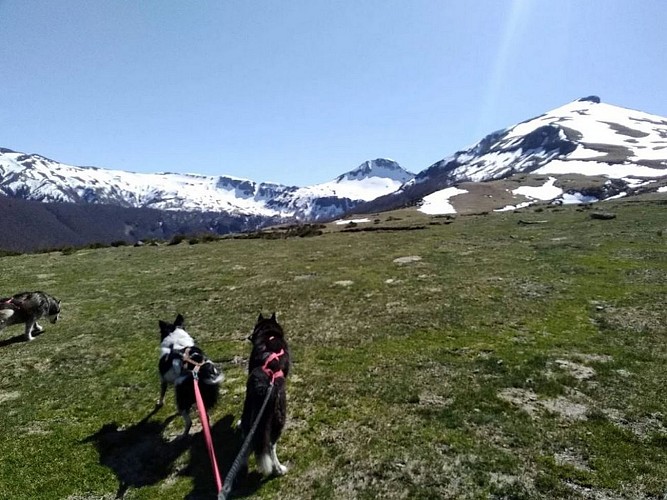 Nordicateam Puy Mary