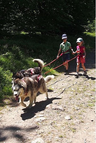 Nordicateam Puy Mary