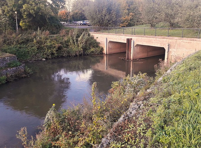 L’avaloir de la Senne sous le boulevard Paepsem