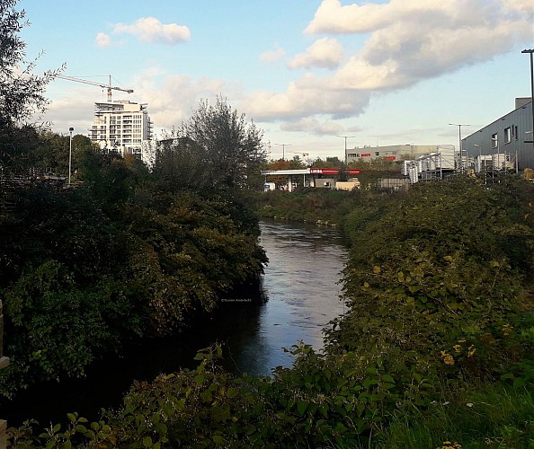 La Senne vers le boulevard Paepsem