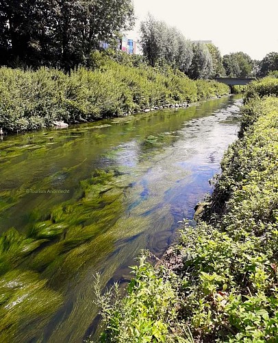 La Senne vers le boulevard Paepsem