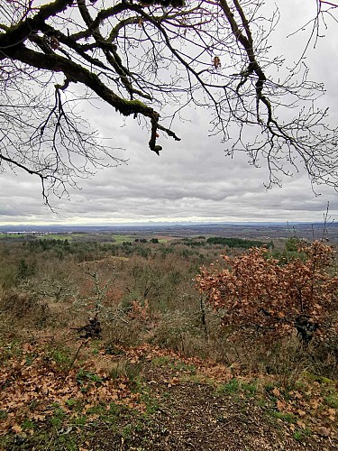 Point de vue depuis le haut de la cascade
