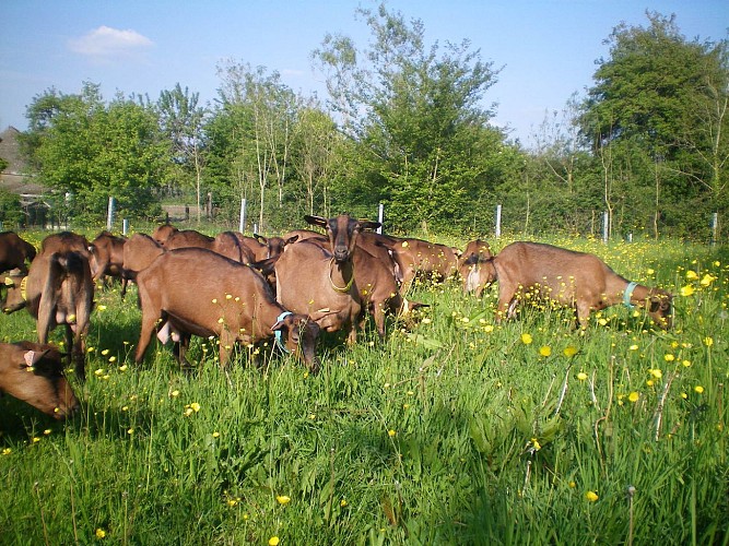 La Ferme du Petit Quenneval