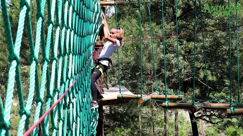 Animalia Parc - Accrobranche1