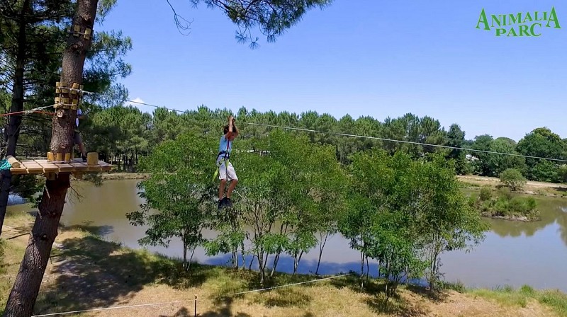 Animalia Parc - Accrobranche2