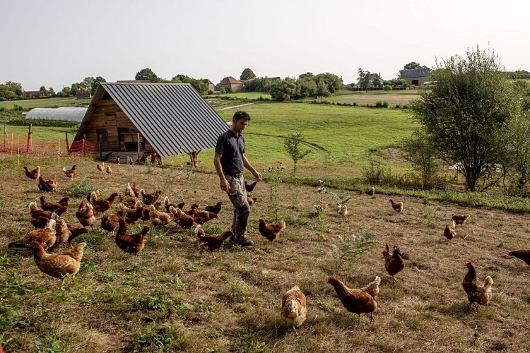 Courgette et Poulette