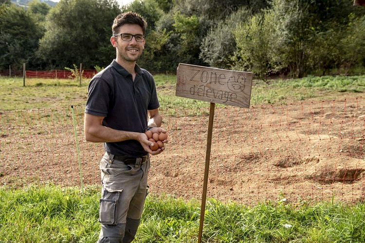 Courgette et Poulette