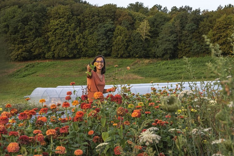 Courgette et Poulette