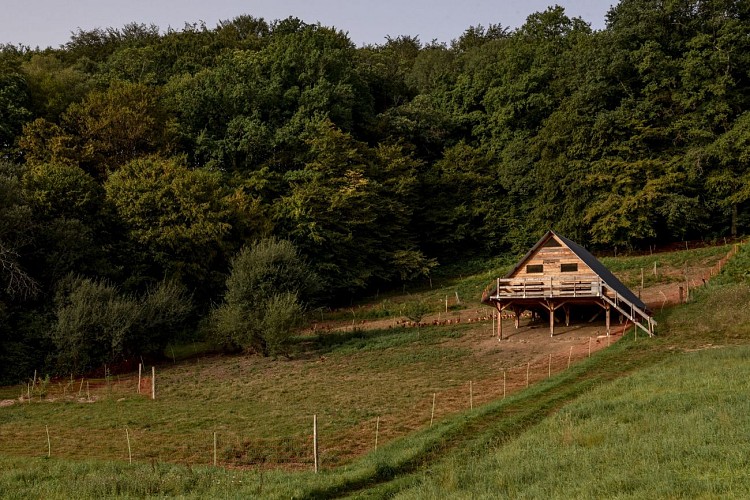 Courgette et Poulette