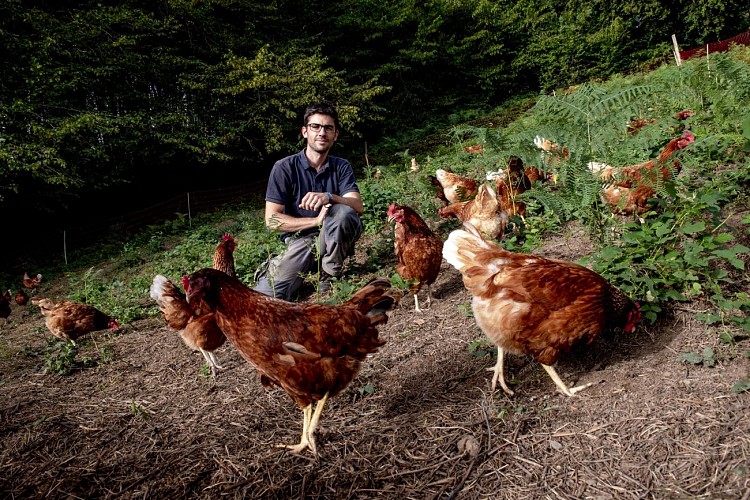 Courgette et Poulette