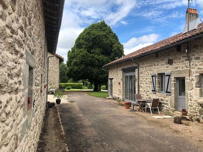 grenouille - legerie