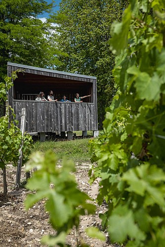 CHATEAU_LAMOTHE_BERGERON©Claude Clin-1110377